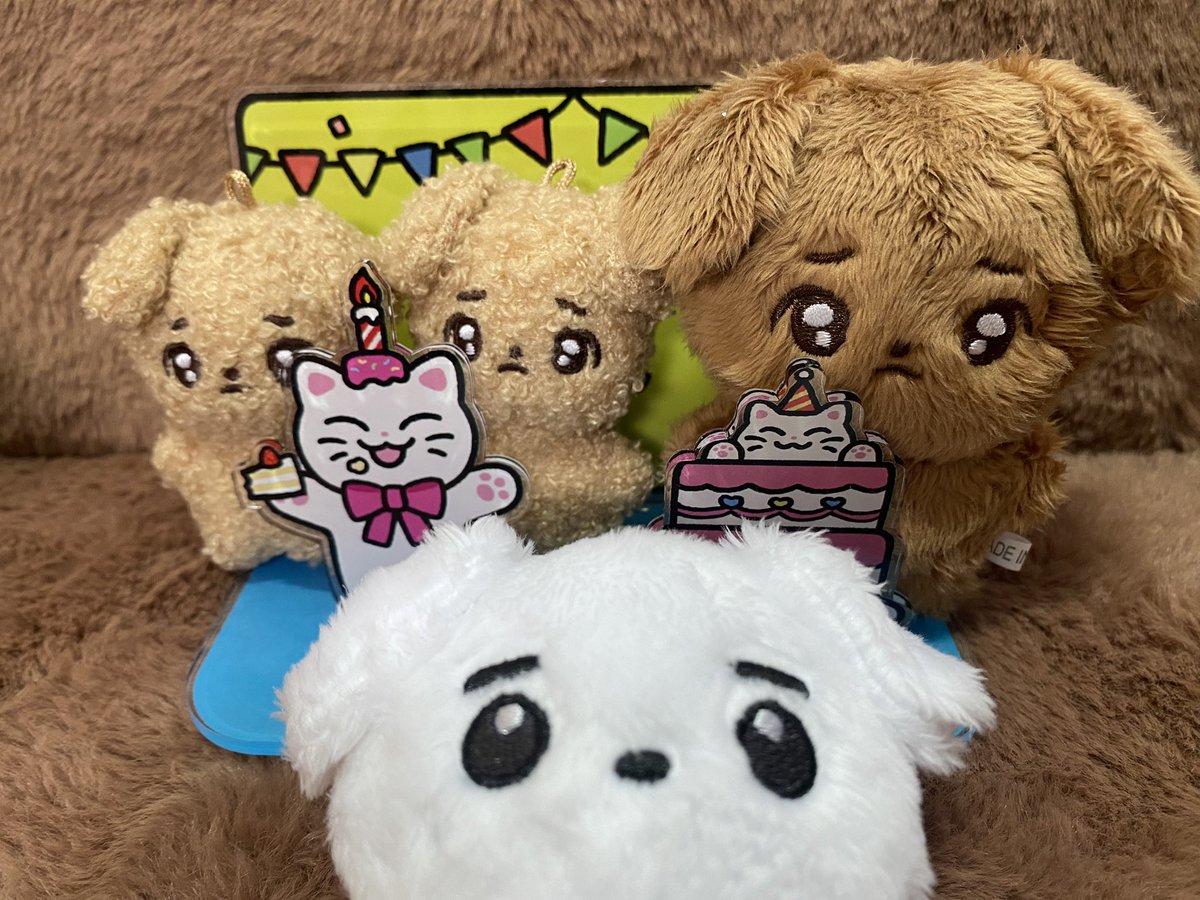 seola_exy's tweet photo. 뎡냥이 생일파티도 갓다왓뎡

#뎡냥이랑나왔뎡 #뽀글망추일기 #울망추일기 #설동이의날들 https://t.co/9efQtK6Hhk