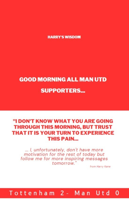 errolfrancke's tweet image. #footballhumour @markgoldbridge #ManUnited #lightersideoflife #TOTMUN
