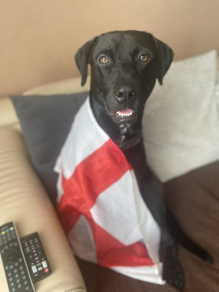 Good morning! 
I’m in charge off the remotes today! 🤣
 #EnglandLionesses #WorldCup2023 
#Dogsoftwitter 
We can do this! 🥰😘🥰