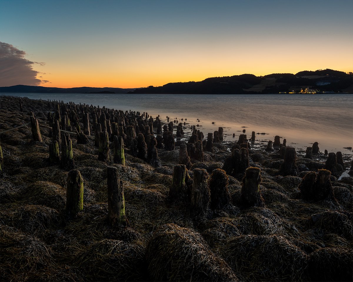 ajohansenphoto's tweet photo. Good morning and happy Sunday photo enthusiast🙂☕️📸
Here's another Focal Length Blend from last night
Was about to go to bed when the sky suddenly turned beautiful
I thought these old pillars could work as a foreground interest against the pastel colored sky
#lamdscape https://t.co/36e7oQy3GX