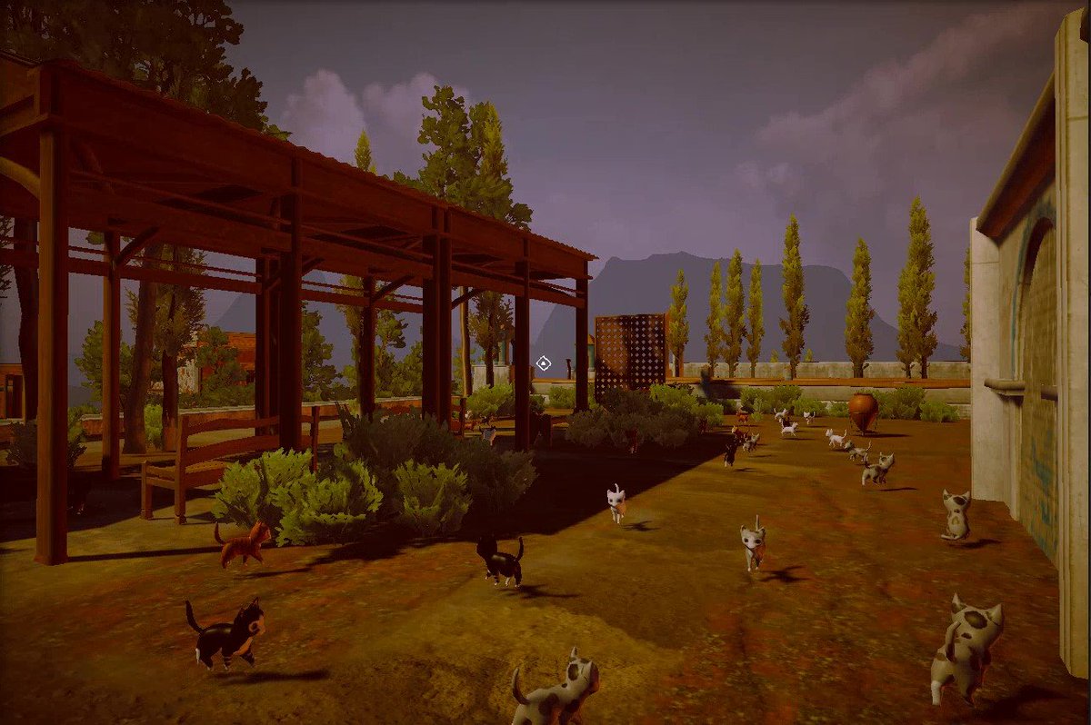 amnaHa204's tweet photo. @SpeedTutor Currently working on a 3D first person Horror cat sanctuary game for #buildspace https://t.co/RWo1ClYvmO