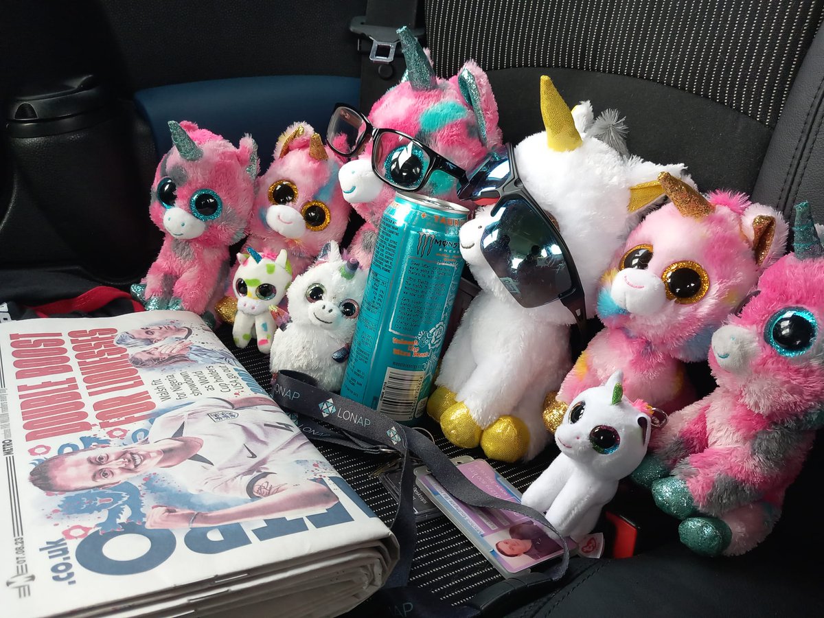 NetUnicorn's tweet photo. Sunday morning https://t.co/OWoXrHDvRi