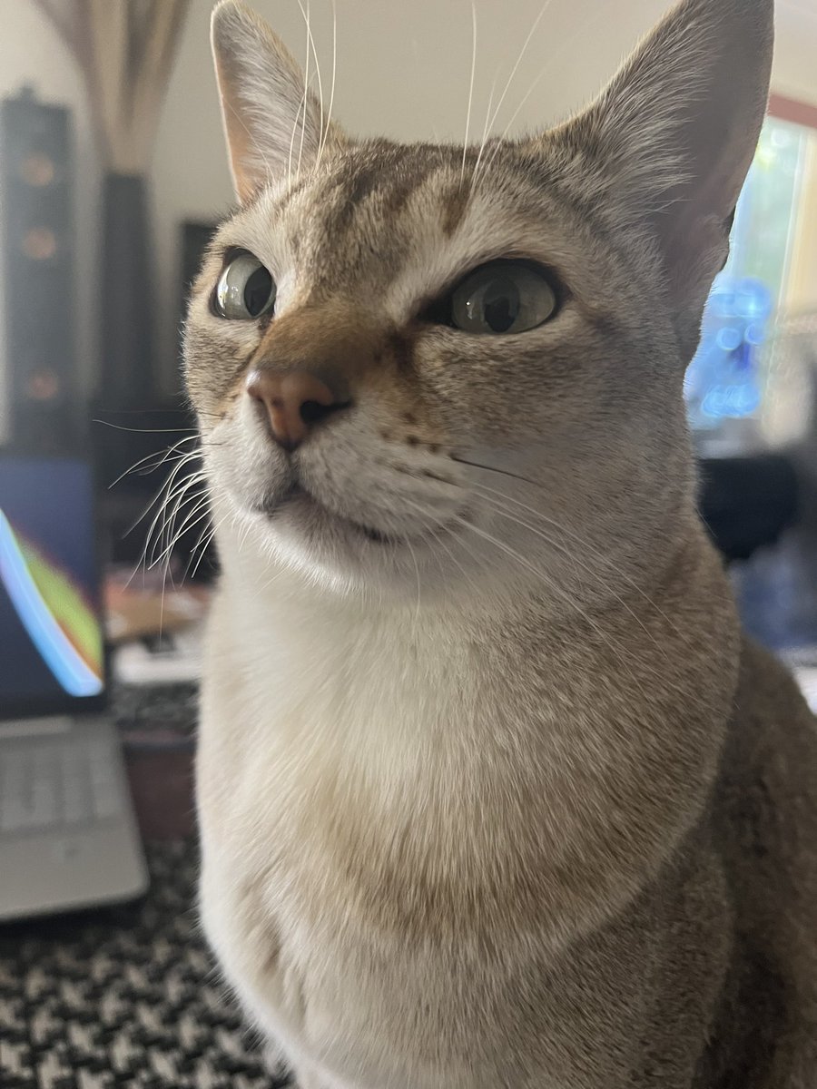 It’s my birthday. I’m 8 today.