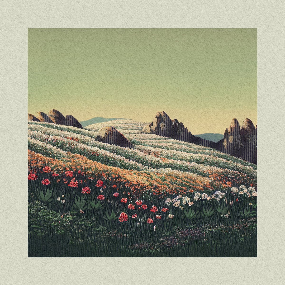 wren 🪴 tweet media