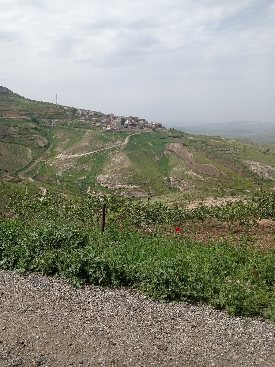 Ez ğebatkaru ğulamê welate ğéme ji hamu gele kürde bi rumetre silav dikim