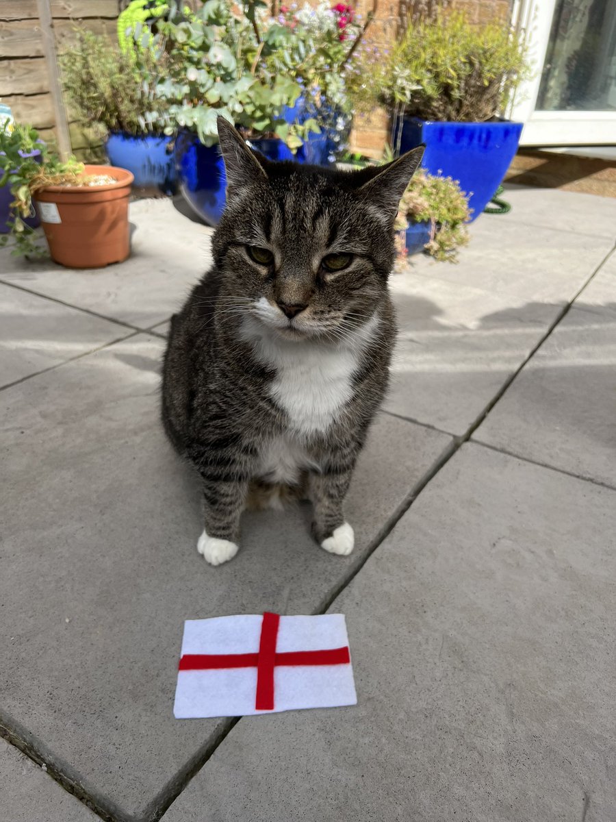 It’s a beautiful day and we are getting ready to cheer for our favorite team <a href="/Lionesses/">Lionesses</a> #roaringtovictory