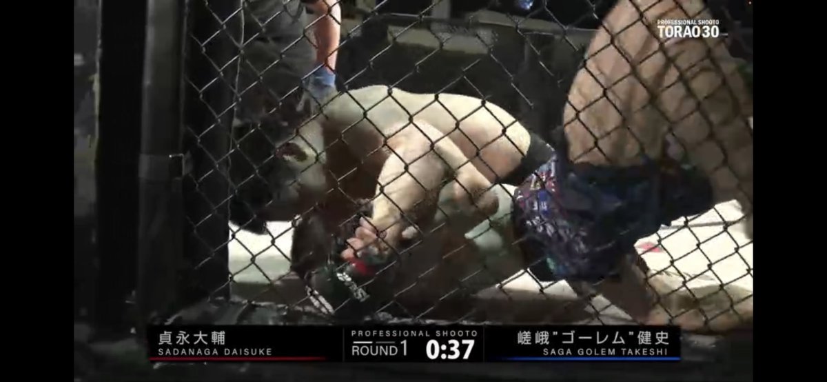 maimai_bjj's tweet photo. #shooto0820 ライト級
貞永大輔（パラエストラ広島）🆚嵯峨'ゴーレム'健史（TKエスペランサ）

1R4分33秒、V1アームロックで嵯峨ゴーレムのイッポン！！
ゴング開始して貞永のスタンド、右STがいい！嵯峨、打撃をかいくぐり組み、TD、きっちりフィニッシュで勝利！ https://t.co/7AMeHixWwG