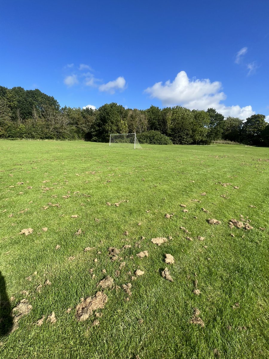 CovinghamUTD's tweet photo. We’re not asking for Wembley and fair enough for cutting the grass, but £65 for just a halfway line🤨 @SwindonCouncil @Swindonfootball https://t.co/ToEMJxMRGm