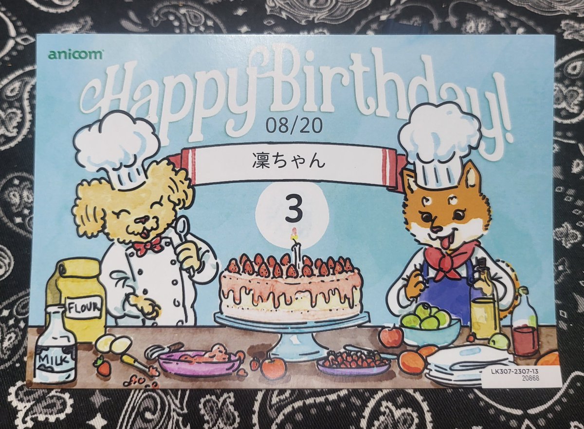 hirussyi's tweet photo. リンがいなくなって4日たちました。

実は今日がリンの3歳の誕生日なんです。

間もなく3歳だからそう記載しました。あとリンは本当は漢字で凜なんです。

一緒にお祝いしたかった。
早く帰ってきて。

何でもいいので情報お願いします。

誕生日おめでとう、リン。

#日本スピッツ
#迷子犬
#拡散希望 https://t.co/uqxaEcwYc8