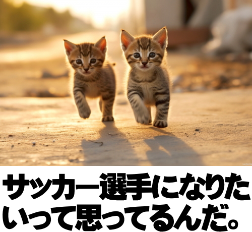 サッカー選手に、
なりたいって思ってるんだ。
junglegymshow.com