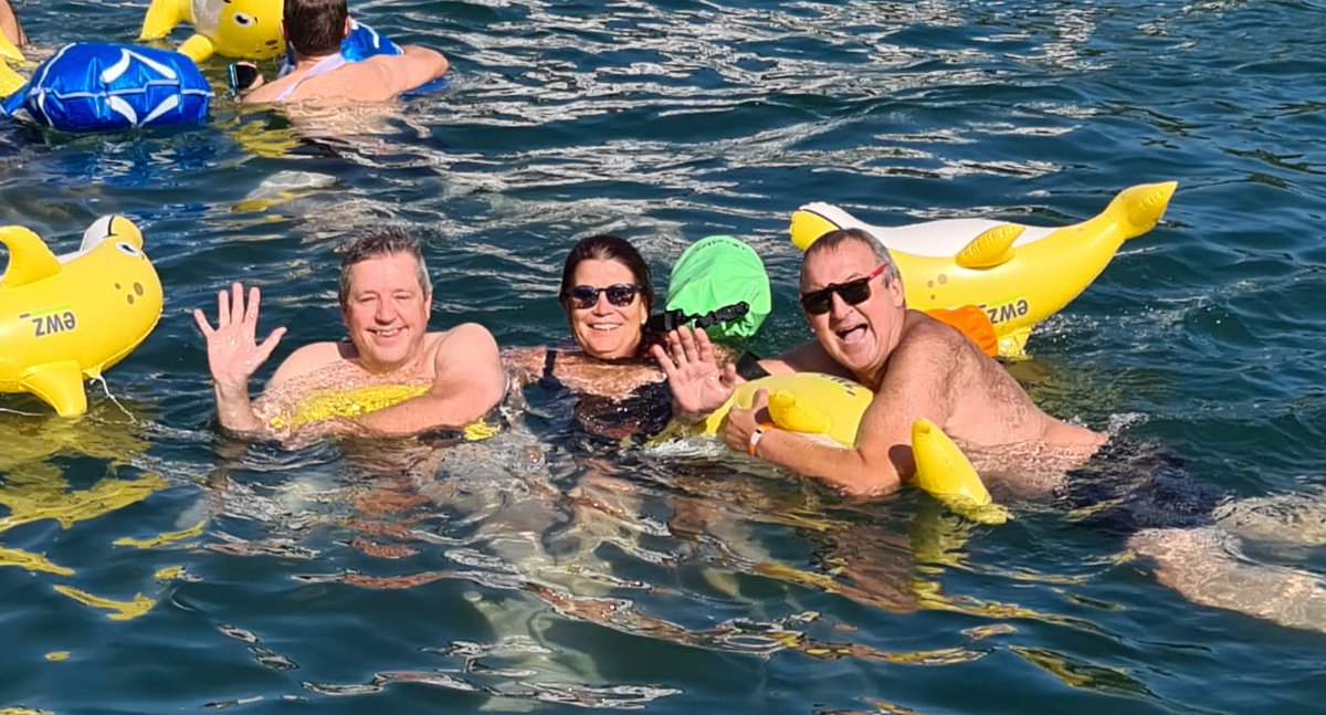 locarno's tweet image. 