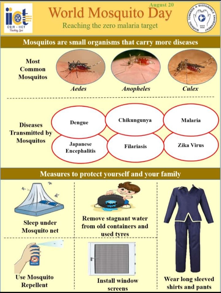 SheetalVermasy's tweet photo. Every year,on 20 Aug, globally we celebrate world mosquito day for memory of sir Ronald Rose ( British Doctor) who discovered, the cause of malaria in human from female  mosquito in 1897. #malaria @HimanshuJayswar @Daulat780Patel @sksomya @saurabhs4oct https://t.co/IlzCXiUjmg