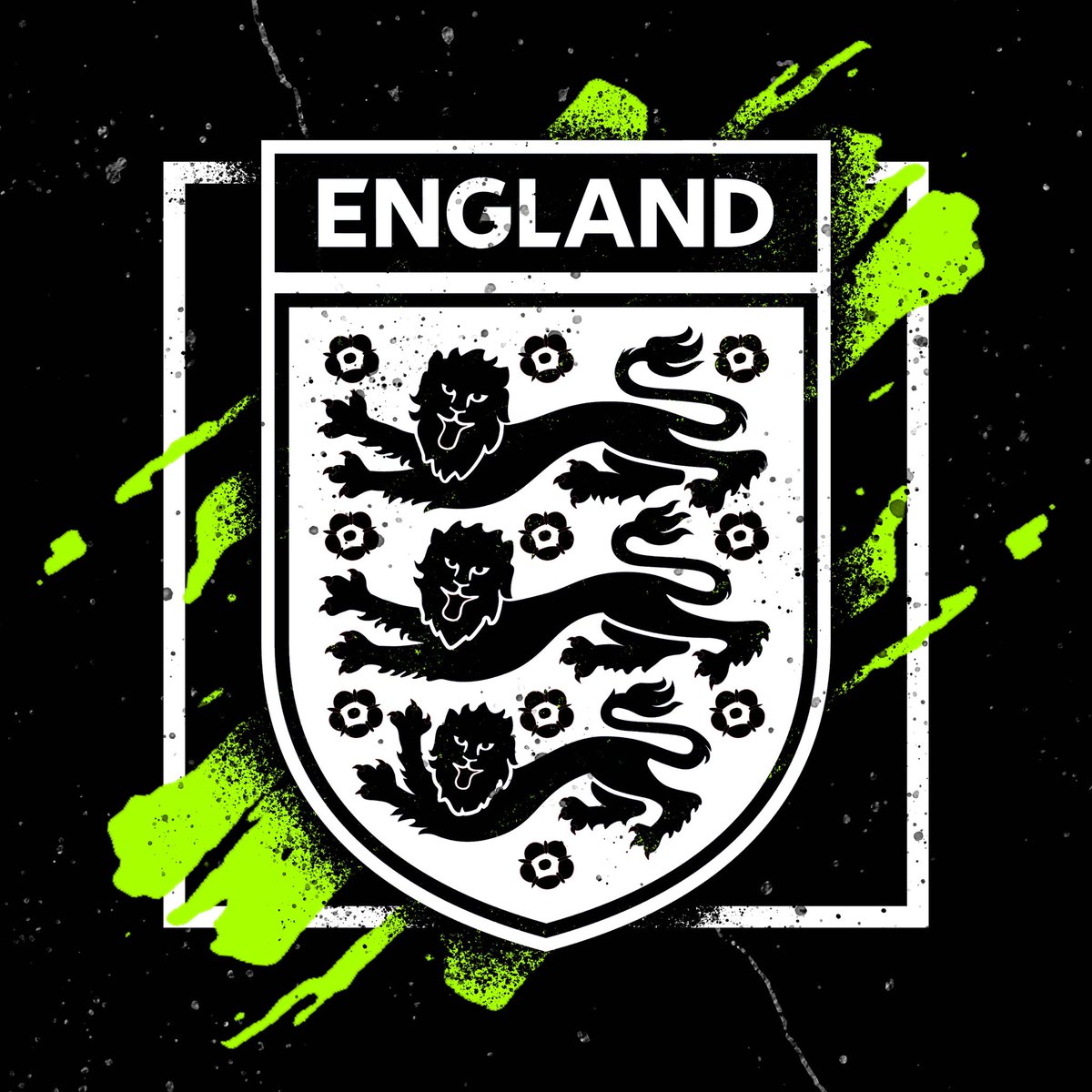 Everyone at FFF would like to wish the <a href="/Lionesses/">Lionesses</a> all the luck in the world for todays game, not that they’ll need it. Bring it Home!