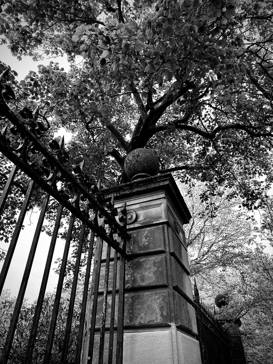vintiga's tweet photo. Fancy Fence

#FancyFence #Newport #NewportRhodeIsland #RhodeIsland #VisitRhodeIsland #PhotographyIsArt #Photography #BlackAndWhite #BlackAndWhitePhoto #BlackAndWhitePhotography #ShotOniPhone #iPhone #iPhone14 #iPhone14Max https://t.co/5PAl2Q206w