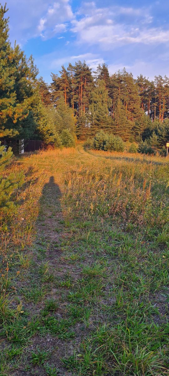 maraclarke's tweet image. I'm not being quiet. I'm on holiday. 
#RestIsResistance
#ActivistHoliday 
#NoSignal