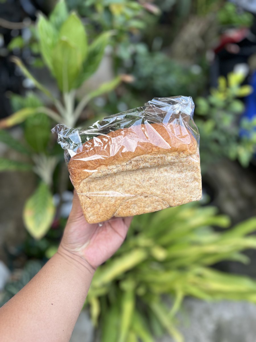 malangkuliner's tweet photo. Mumpung di sekitaran Dieng mampir ke @roticengli Kepundung dulu sebelum menerjang kemacetan.
Take away roti tawar gandum, per picis 20rb saja.
⠀
Tipikal roti gandumnya ini yg tidak nyereti dan beraroma wangi.
#malangkuliner #rotigandummalang https://t.co/CCRD95zzEQ