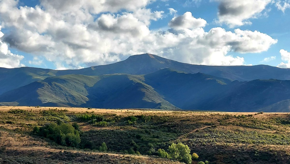 Alejandro DG tweet media