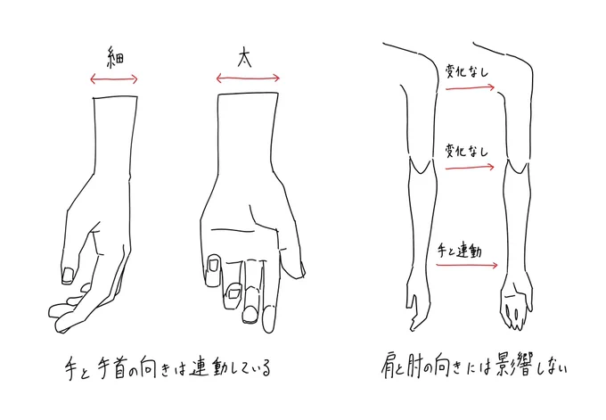 手と手首の連動に関するメモです。 