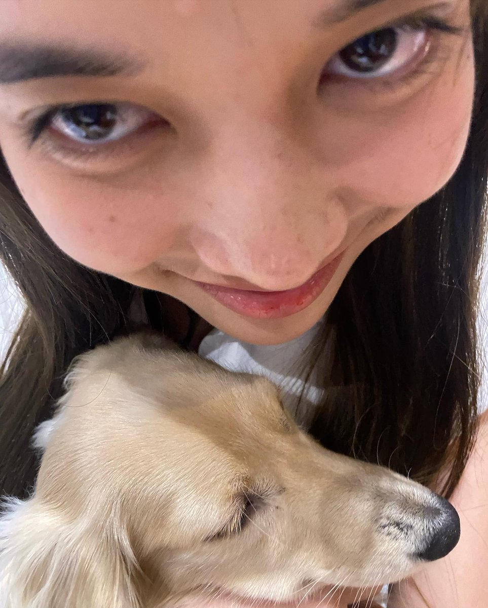 Seluu21's tweet photo. Freen con perritos , te amo mi random
#25thShiningFreenDay #srchafreen #Happy25XFreenLATAM https://t.co/WFVwWXOn4w