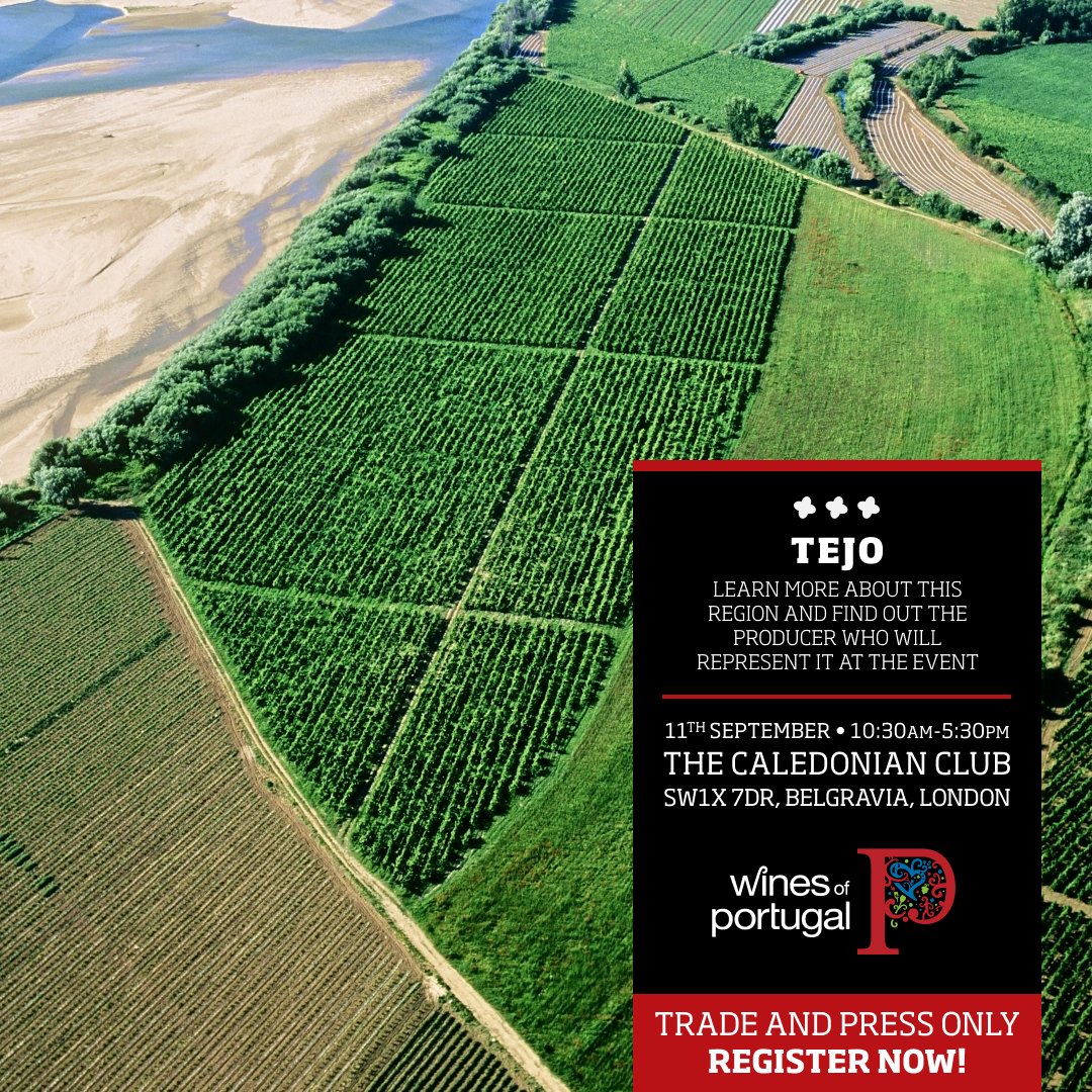 🍷 Discover the Tejo in London - 11th September 🏰 The producer who will give us the pleasure of tasting wines from this region is.... Quinta da Lapa Cheers to the Tejo! 🍷 Register now: winesofportugaluk@thewineagency.pt