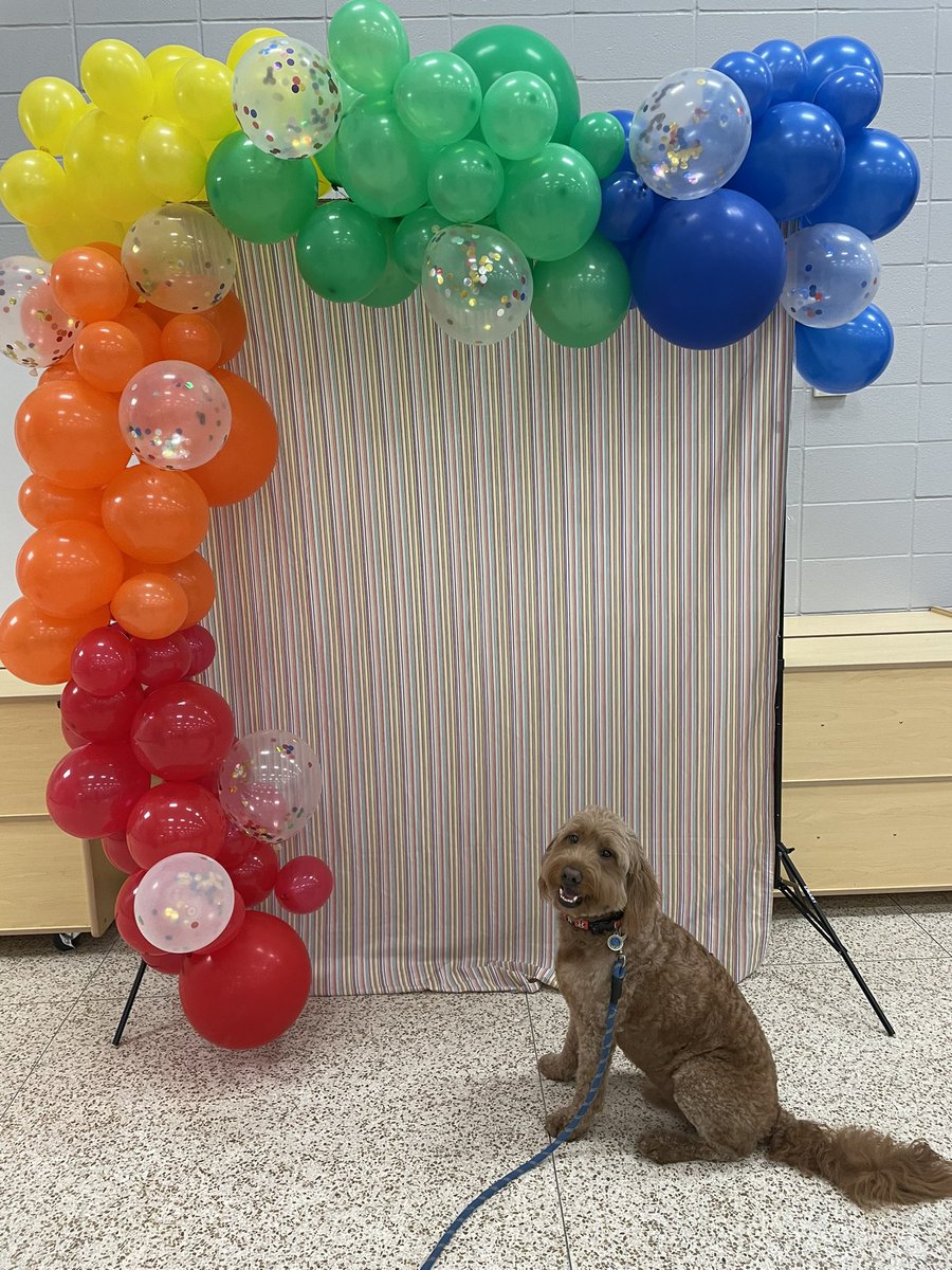 George the Comfort Dog tweet media