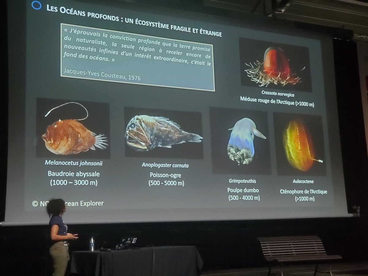 Brigitte Zanda tweet media