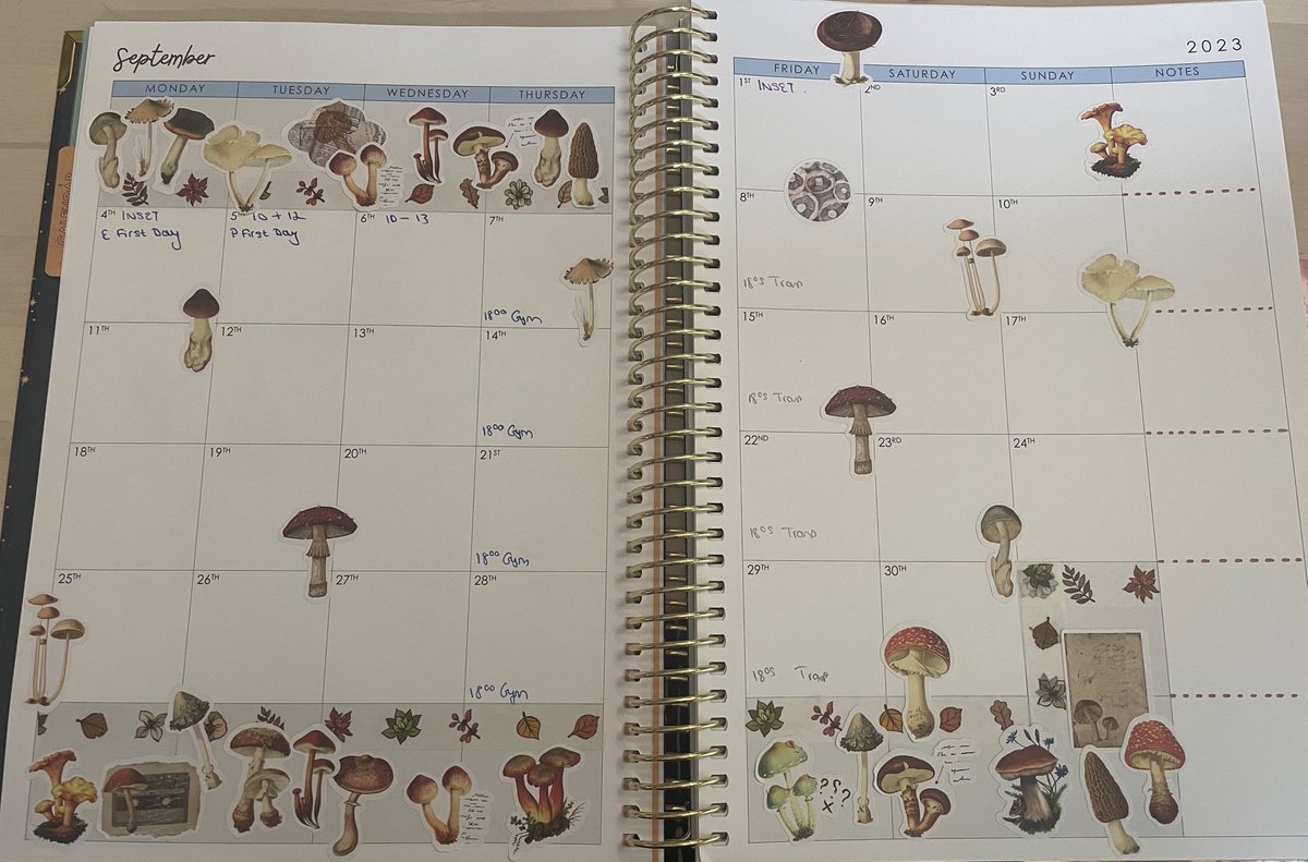 MsGee_C's tweet image. It’s wet and rainy and I have stationary! #planner #tptc