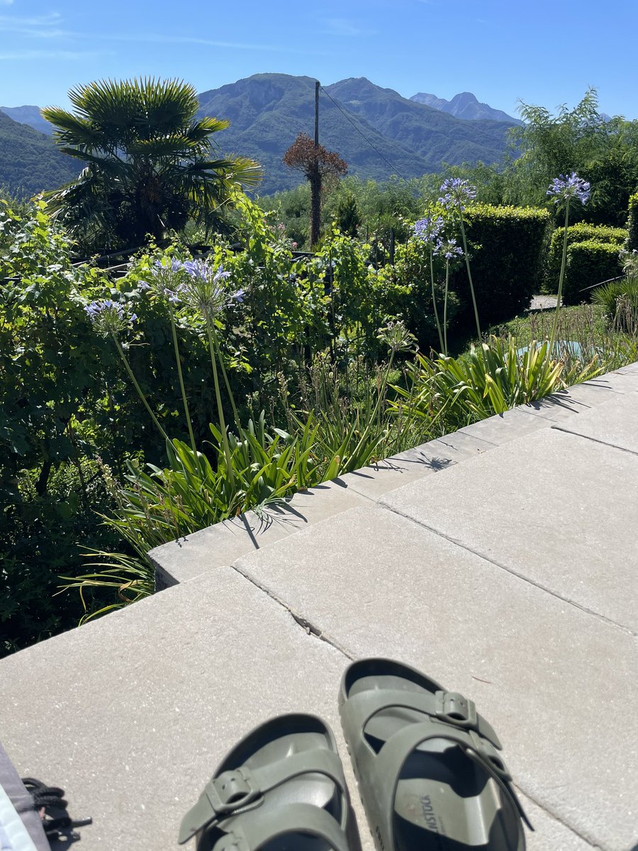 Matthew Parris (@mattjparris) on Twitter photo 