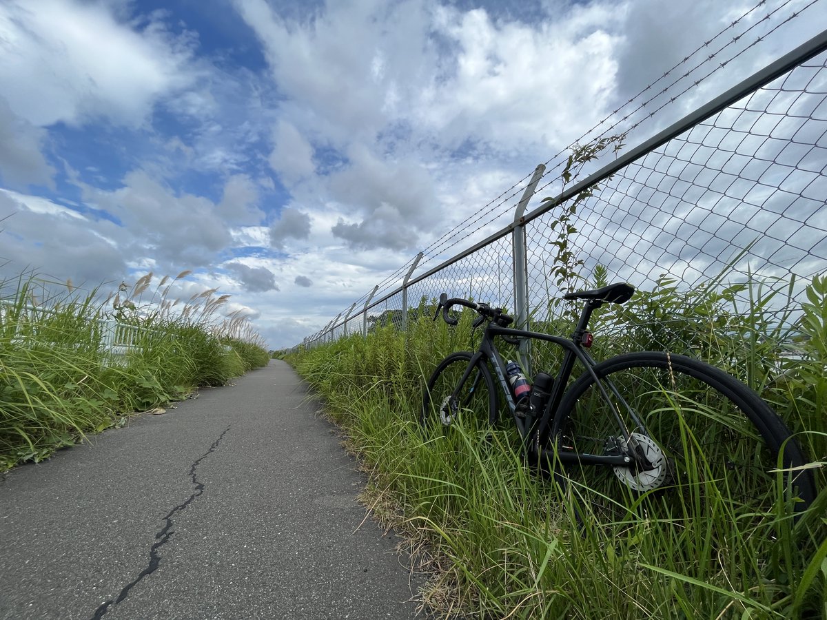 kjtweb's tweet photo. 今日は、午後から時間ができたので、ちょこっとライド。
やよいの風公園まで。めちゃ久しぶり。
この公園、緑がきれいで好きなんですよね。

#ロードバイク #TREK #DOMANE #RAPHA #RIDEFUKUOKA #RIDE #ROADBIKE #CYCLINGPHOTOS #ライド #サイクリング #ロードバイクのある風景 #やよいの風公園 https://t.co/yqa7hq6W6A