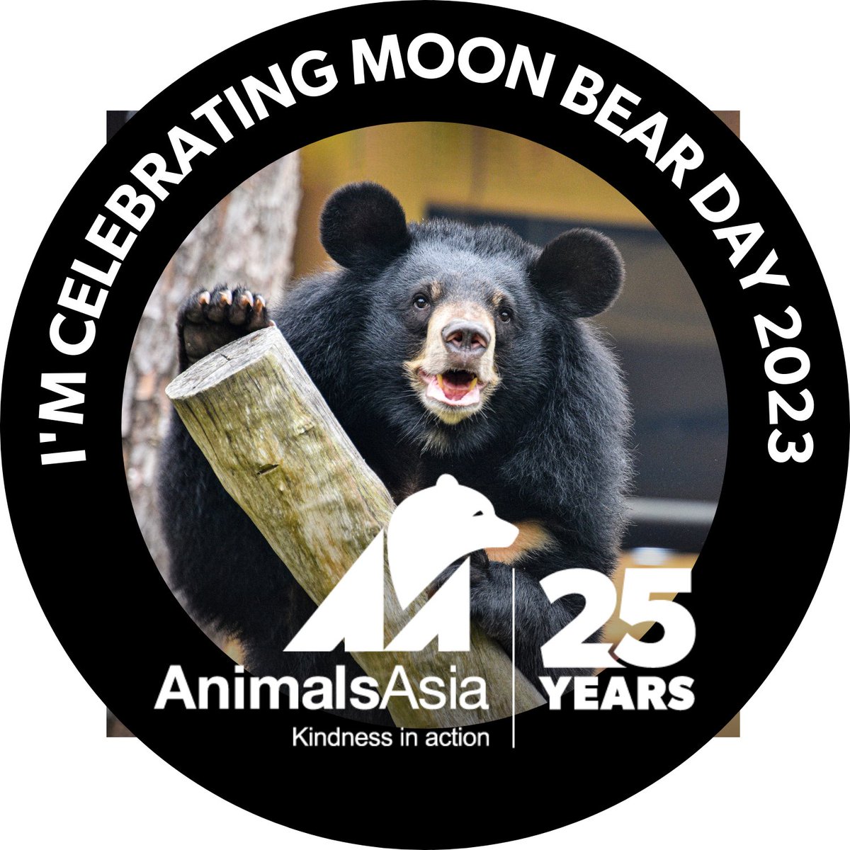 I’m proud to be celebrating #MoonBearDay on 8 August and supporting @AnimalsAsia to #rescue the last #bears on #bilefarms in #Vietnam! animalsasia.org/nobearleftbehi… #KindnessInAction #NoBearLeftBehind #MoonBearDay #ReachForTheMoon
iiii]; )'