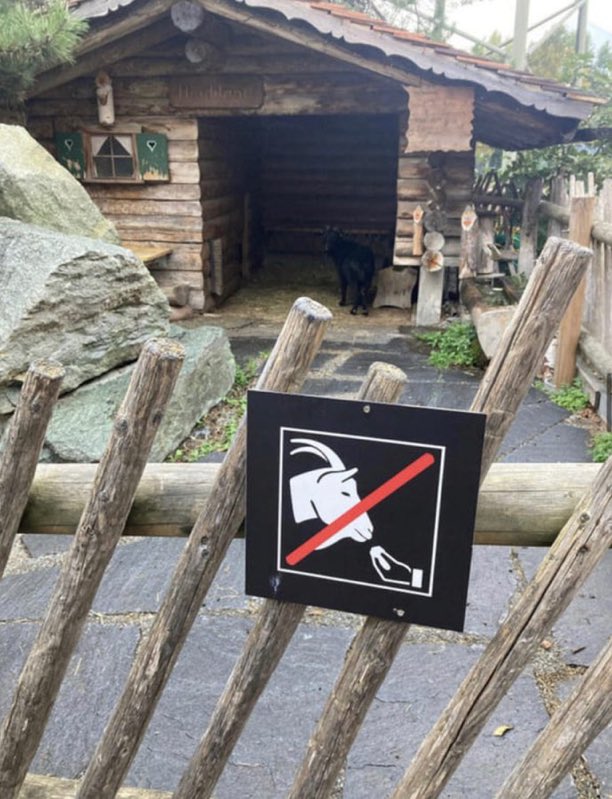 NoContextBrits's tweet image. No speaking Italian to the goats.