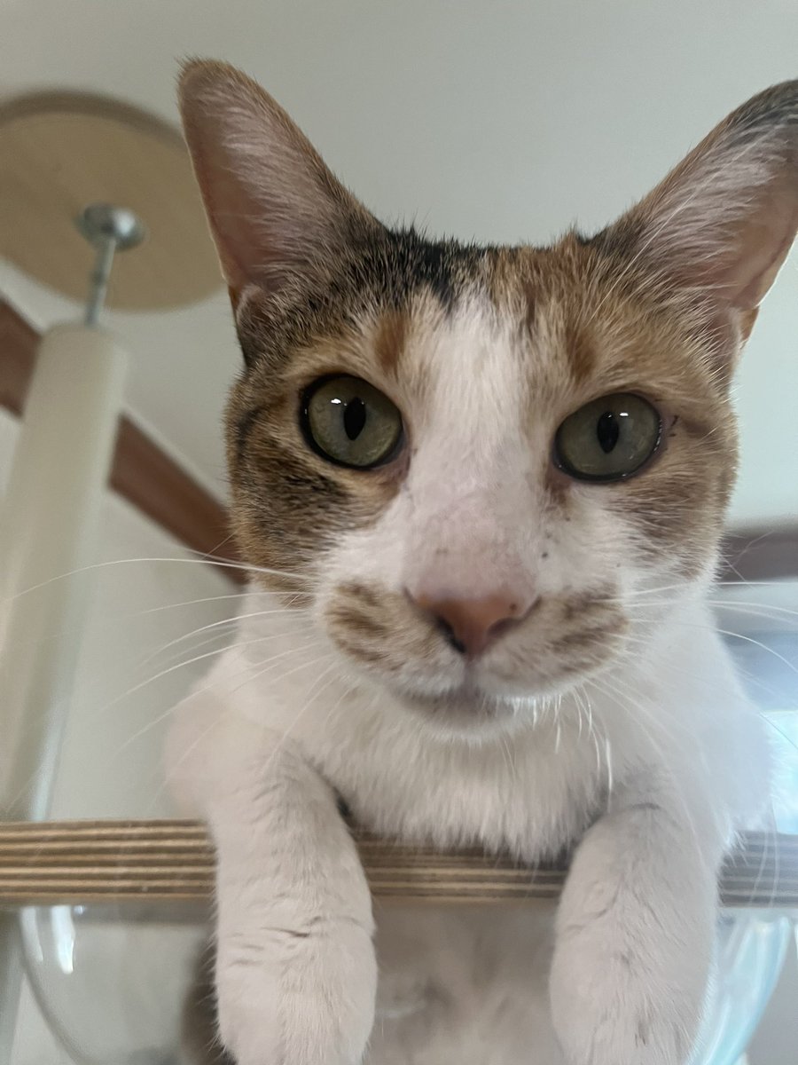 황현조 tweet media