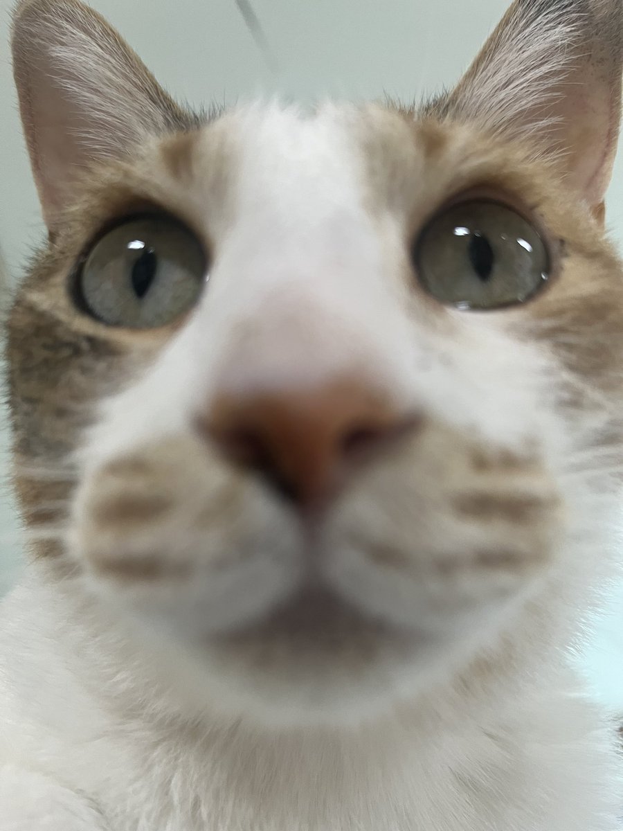 황현조 tweet media