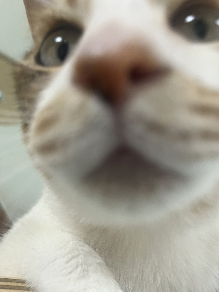 황현조 tweet media