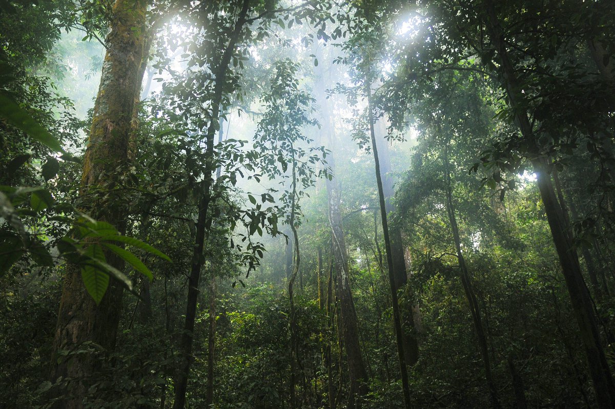 Leverhulme Centre for Anthropocene Biodiversity (@anthropocenebio) on Twitter photo 📢Exciting opportunity to lead a great team of researchers!
Professor of Anthropocene Biodiversity & LCAB Director <a href="/UniOfYork/">University of York</a>
More details and apply here 👇 closing date 17 Sept
jobs.york.ac.uk/vacancy/profes…
<a href="/LeverhulmeTrust/">The Leverhulme Trust</a> 📢Exciting opportunity to lead a great team of researchers!
Professor of Anthropocene Biodiversity & LCAB Director <a href="/UniOfYork/">University of York</a>
More details and apply here 👇 closing date 17 Sept
jobs.york.ac.uk/vacancy/profes…
<a href="/LeverhulmeTrust/">The Leverhulme Trust</a>