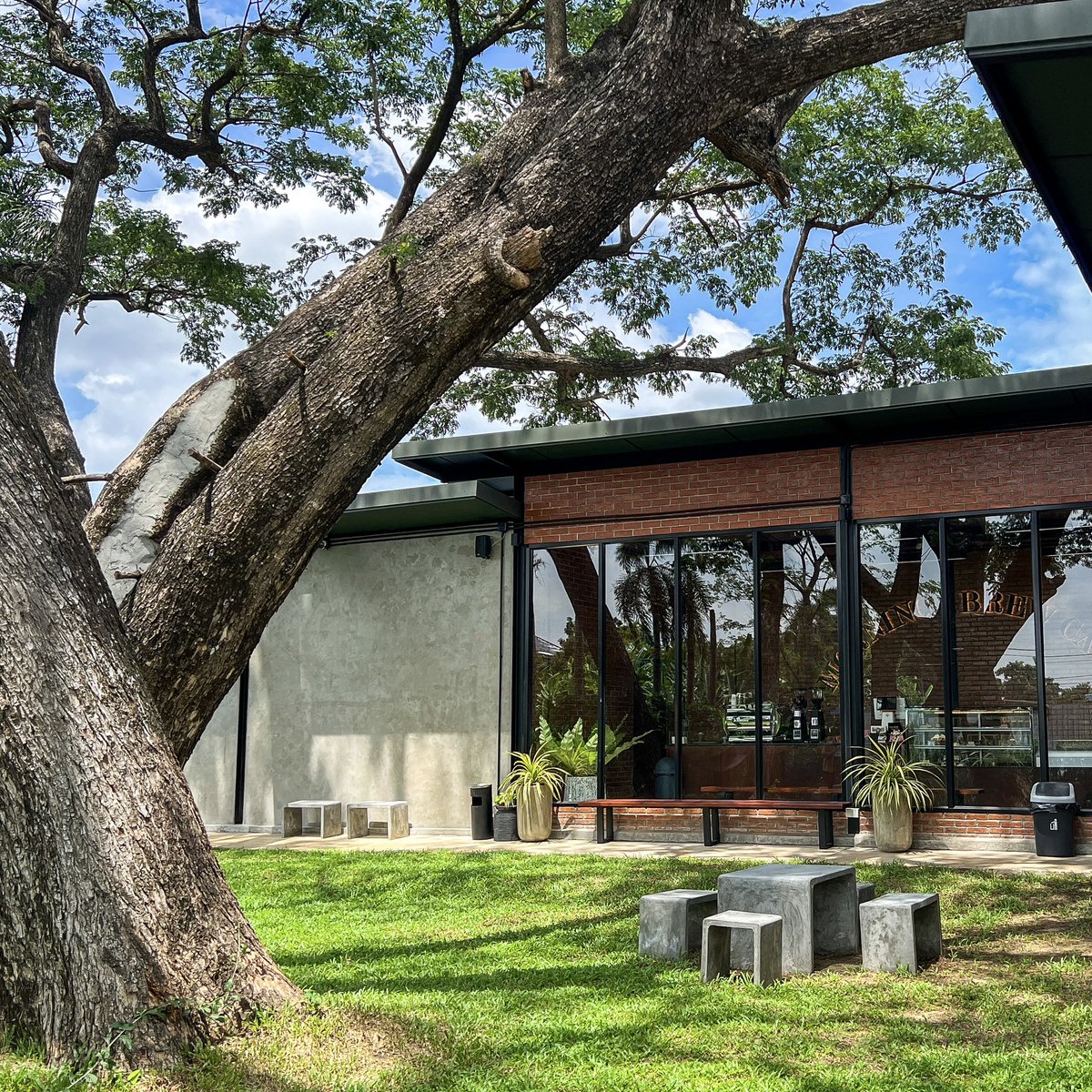 eatthump's tweet image. ไปเจอคาเฟ่เปิดใหม่ ชื่อ Morning Brew Cafe ที่พุมธมณฑลสาย1 ฟีลจิบกาแฟใต้ต้นไม้ใหญ่ สดชื่นสุด ยิ่งมาเช้าๆ แสงกำลังดี พาดผ่านร้าน คือสวย ปัง เครื่องดื่ม+ขนมอร่อยมาก ต้องมาซ้ำ @aroii #รีวิวคาเฟ่ #คาเฟ่เปิดใหม่