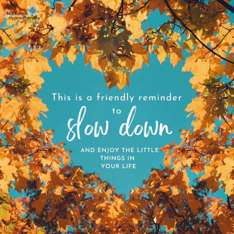 hs_hypnotherapy's tweet photo. Slow down and enjoy the little things today. 

#mondaymood #mondaymotivation https://t.co/0t5KqvU1AS