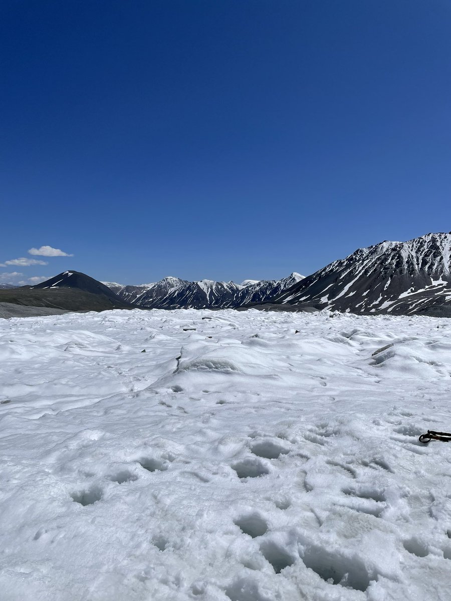 kinochytrid's tweet photo. Glacier in Mongolia （last month）
日が経つにつれ氷河が黒くなっていく様子が見れました!
#glacier https://t.co/VbFv896MaE