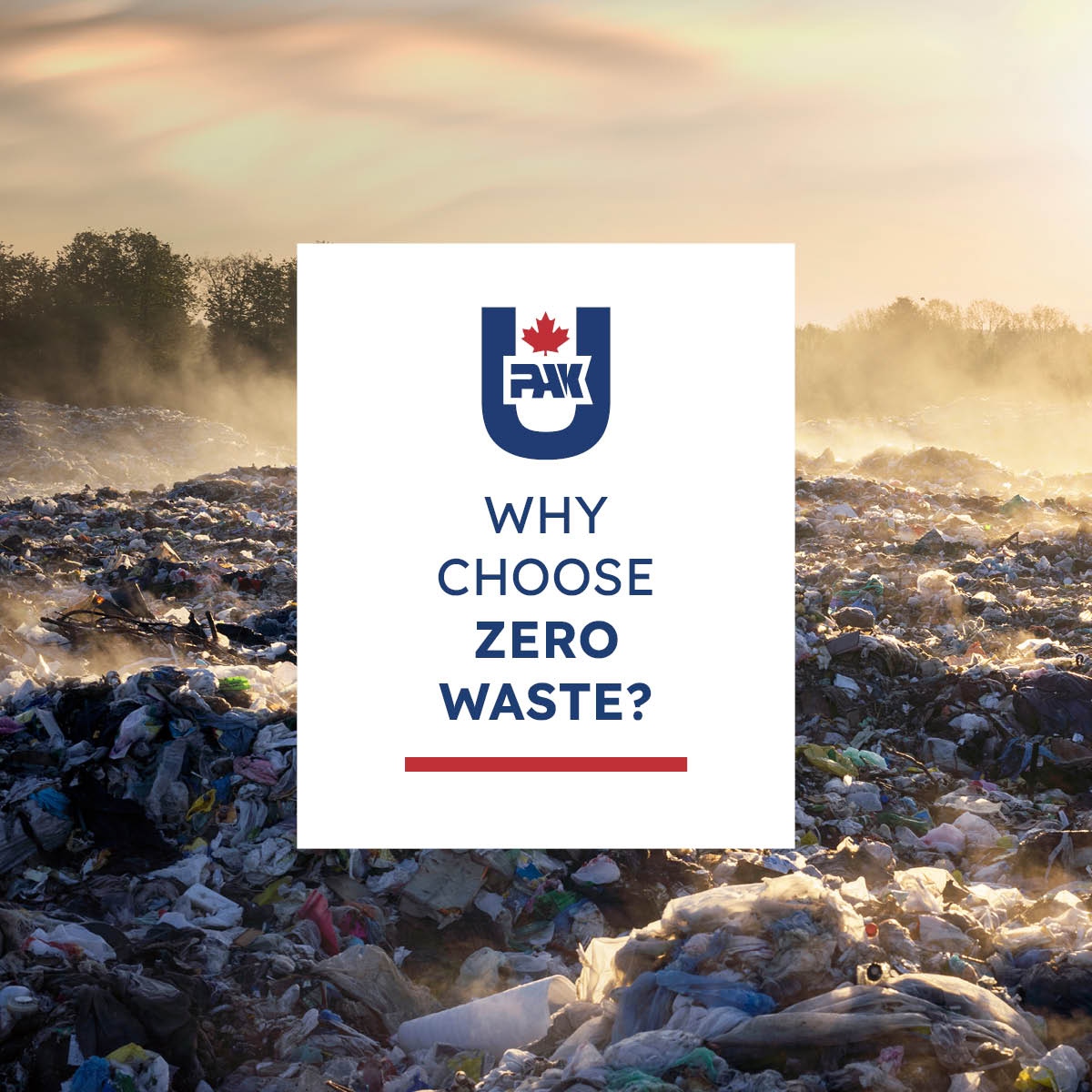 Choose Zero Waste! ♻️

No landfill waste. Rethink the system, go circular. Create a sustainable world!

Learn more at upak.net/sustainability… #ZeroWaste #Sustainability 🌱