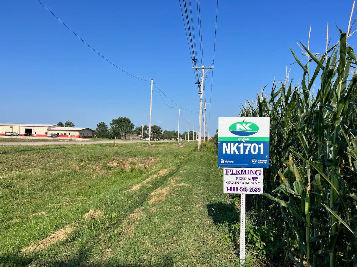 feed_grain's tweet photo. Nk 1701- right next to town, chanute Ks right across from the high school, come check it out https://t.co/DENuCCHzlD