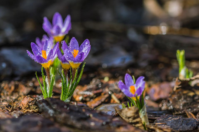 nastromo_eth's tweet photo. Good morning, world! Sundays are a reminder to pause, take a breath, and savor the simple joys of nature's wonders with loved ones. 🌞🍃👨‍👩‍👧‍👦💖 https://t.co/8rXgas2iWS