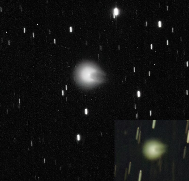 earthskyscience's tweet photo. Comet 12/P Pons-Brooks comes near the sun every 71 years. Its next sweep past our home star will be in April 2024. It's already putting on a show! ☄️

Read more about Comet Pons-Brooks and see some images: https://t.co/YlzMWi01cK 

📸 Eliot Herman. https://t.co/de2nsngYWl