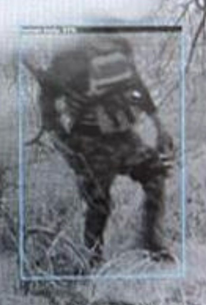 Bill Melugin tweet media