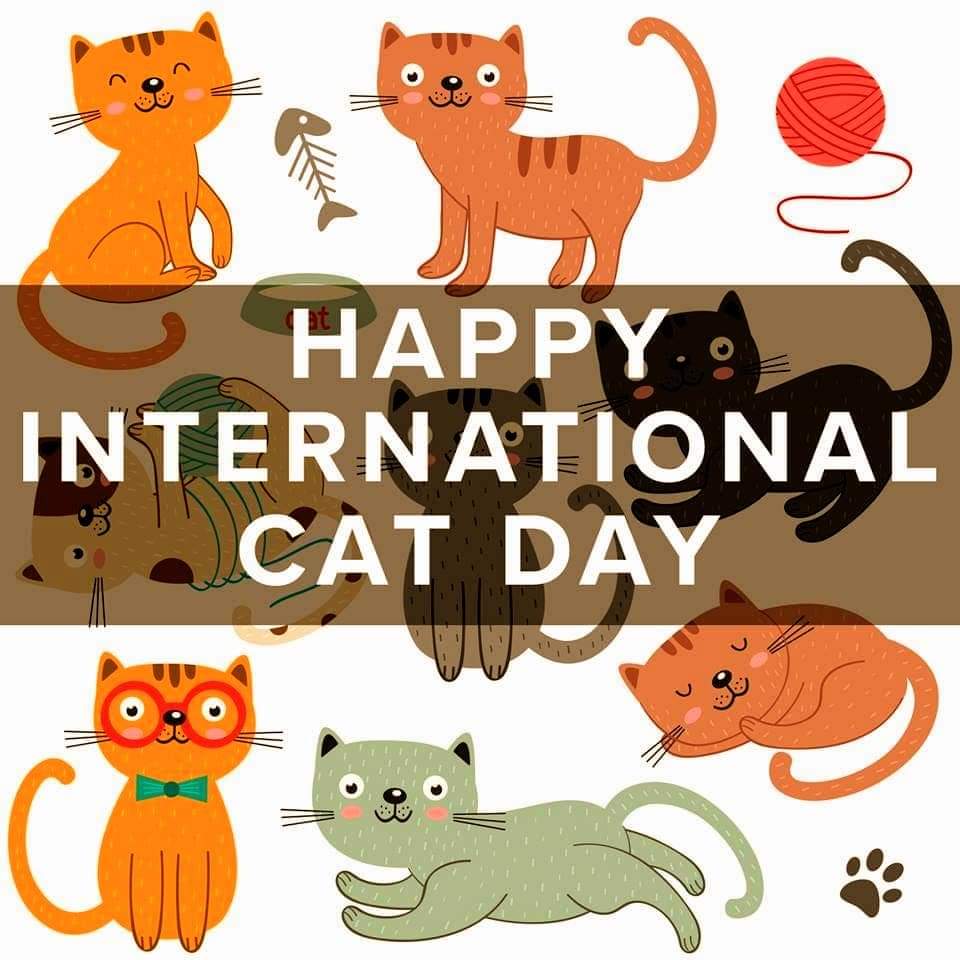 DJTommyRocks's tweet photo. "Happy International Cat Day"
😻🐈🐈⬛🤗😍🤗🐈⬛🐈😻
#HappyInternationalCatDay
#InternationalCatDay #CatDay
#Cat #Kitty #Feline #4LeggedFurball
#LittleBuddy #LilJ #JD #Skylar
#Precious #Groot #GrootMan https://t.co/mjwlo1OyTZ