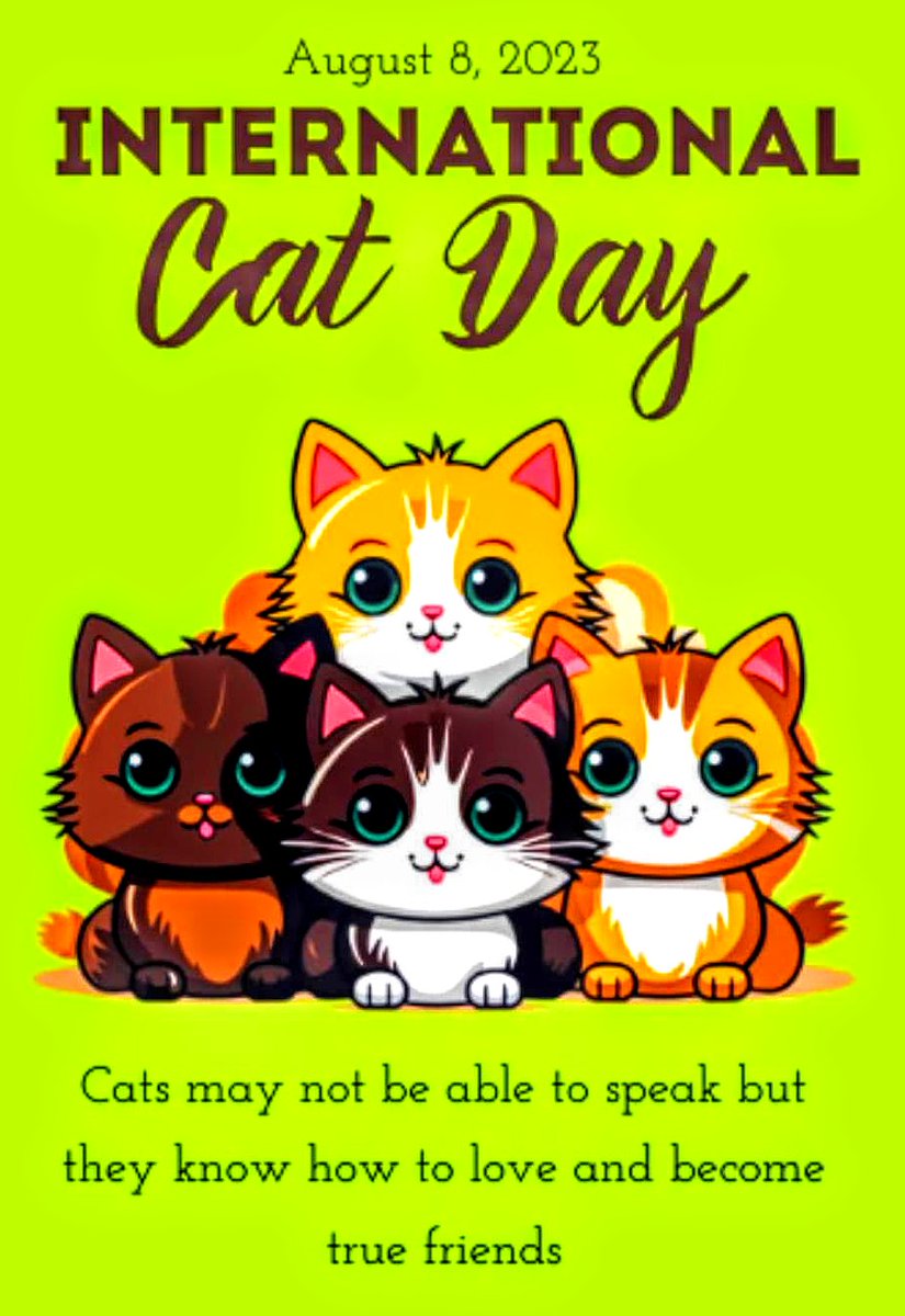 DJTommyRocks's tweet photo. "Happy International Cat Day"
😻🐈🐈⬛🤗😍🤗🐈⬛🐈😻
#HappyInternationalCatDay
#InternationalCatDay #CatDay
#Cat #Kitty #Feline #4LeggedFurball
#LittleBuddy #LilJ #JD #Skylar
#Precious #Groot #GrootMan https://t.co/mjwlo1OyTZ
