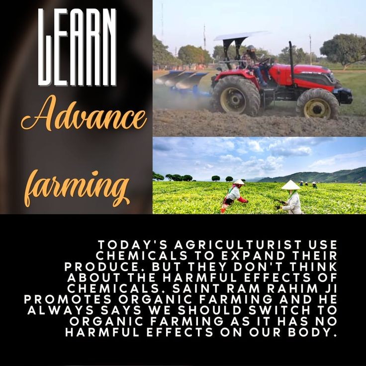 useful tips by guru ji
#OrganicFarming
#ScientificFarming  
#FarmingTips
#AgricultureTips
#AgricultureTipsByMSG
#DeraSachaSauda 
#SaintDrGurmeetRamRahimSinghJi 
#SaintDrMSG 
#GurmeetRamRahim
#RamRahim
#SaintMSG
#SaintDrMSGInsan