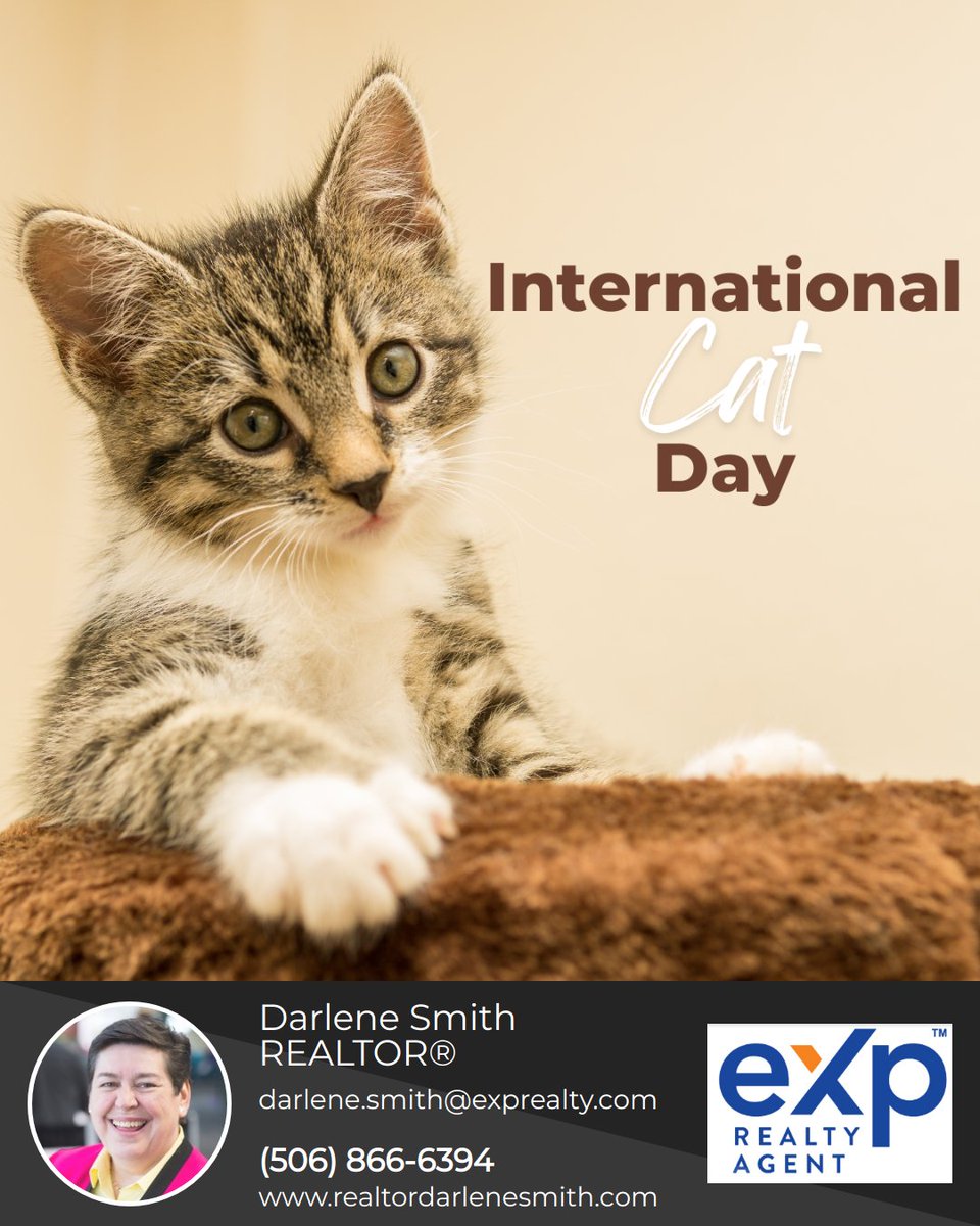 Happy International Cat Day! It's the purr-fect day to celebrate our cute feline friends!

#Cats #Kittens #Purrfect #CatLover #CatLife #InternationalCatDay #realtordarlenesmith