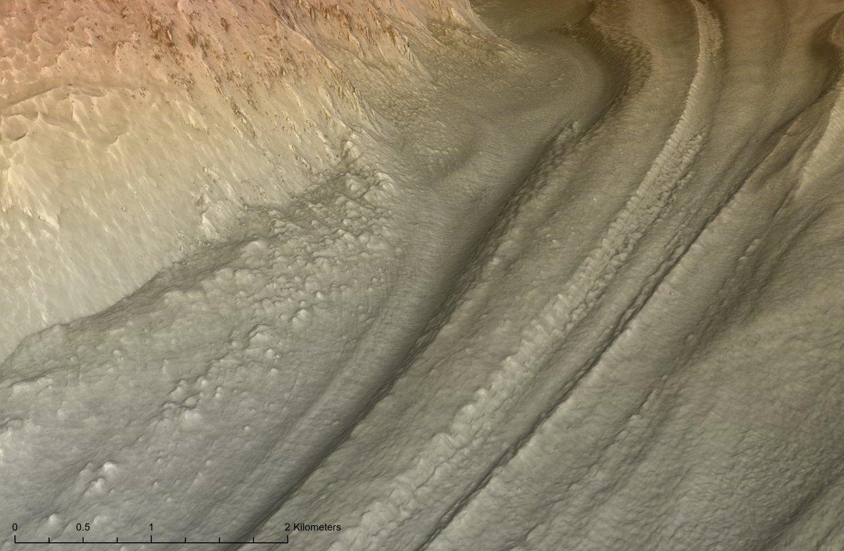 Graham Driver tweet media