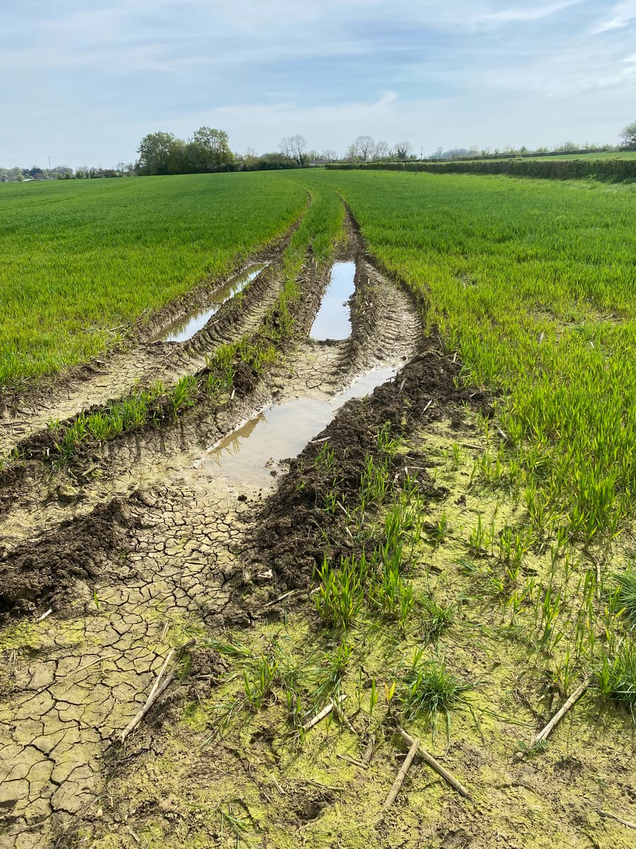 Science now says more than half of all species on earth live in soil. So why do we pay fertilizer and pesticide companies to wage chemical warfare on them? They call it agriculture but it's really ecocide. Time to bring legal charges against firms making our planet unliveable