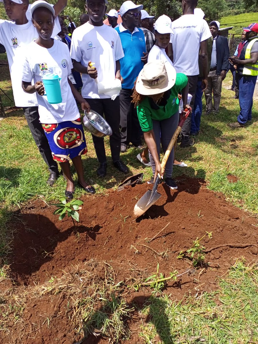 SenatorCheptoo🇰🇪 tweet media